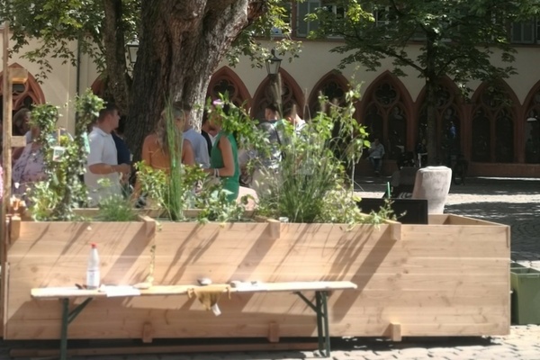 "Wildwuchs" (?) auf dem Rathausplatz "Wildwuchs" (?) auf dem Rathausplatz